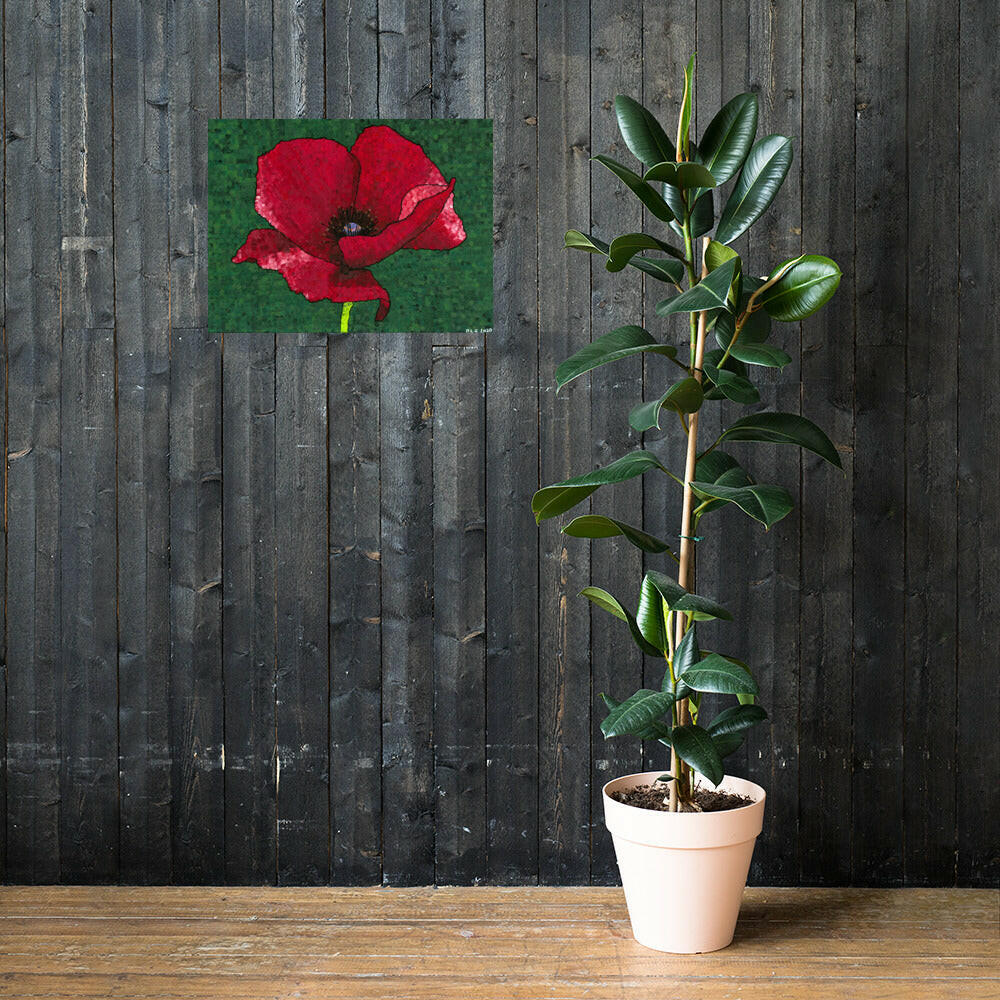 Poppy 1 fine art prints showcased beside fresh flowers – beautiful prints and quality artwork.