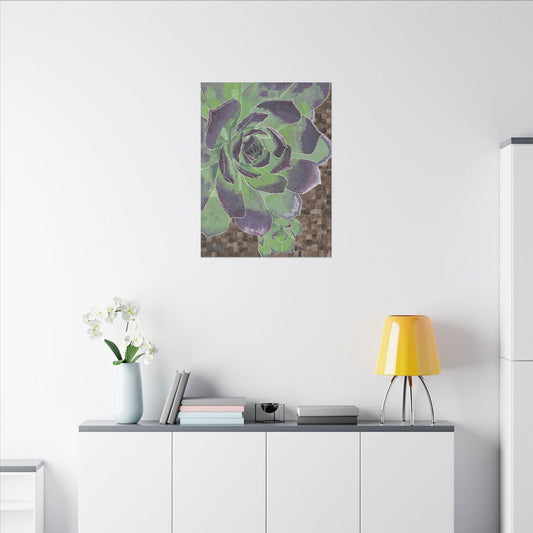 Succulent | Canvas Art Print - Succulent | Canvas Art Print - Dorrin Gingerich Art - Succulent | Canvas Art Print Dorrin Gingerich Art