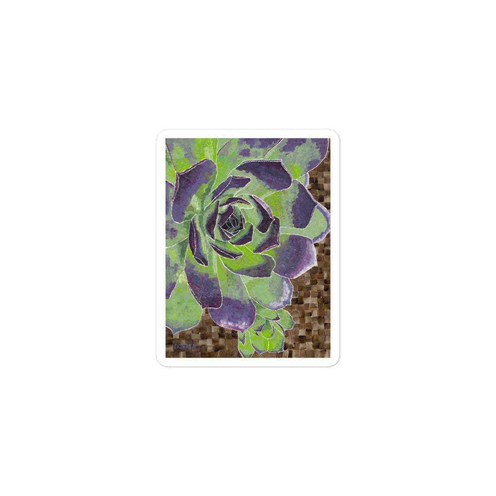 Succulent Sticker - Dorrin Gingerich Art