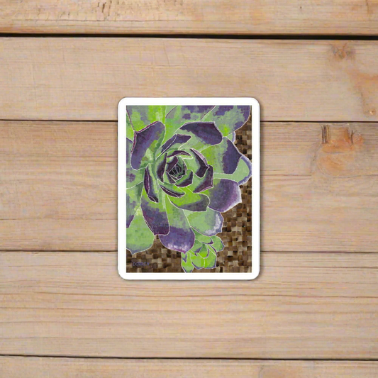 Succulent Sticker - Dorrin Gingerich Art