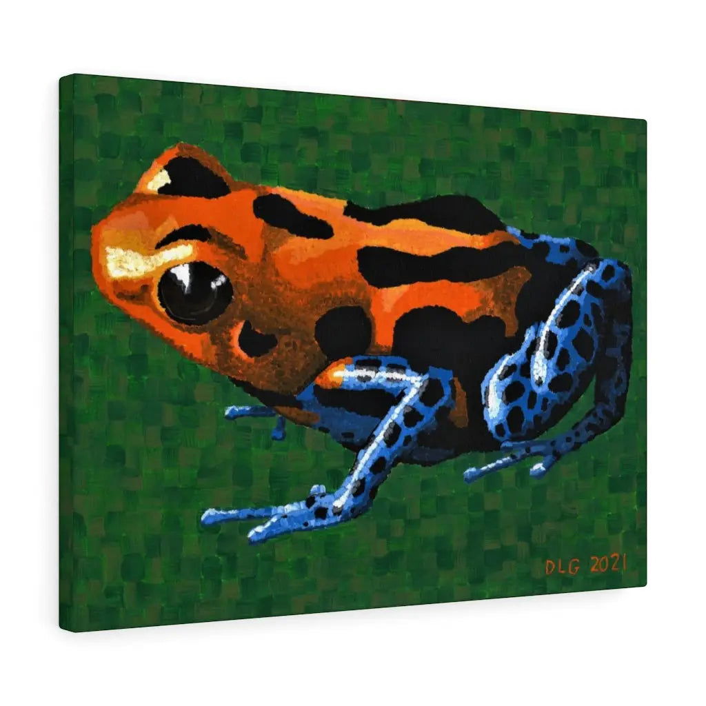 Dart Frog 1 - Dart Frog 1 - Dorrin Gingerich Art - Dart Frog 1 Dorrin Gingerich Art