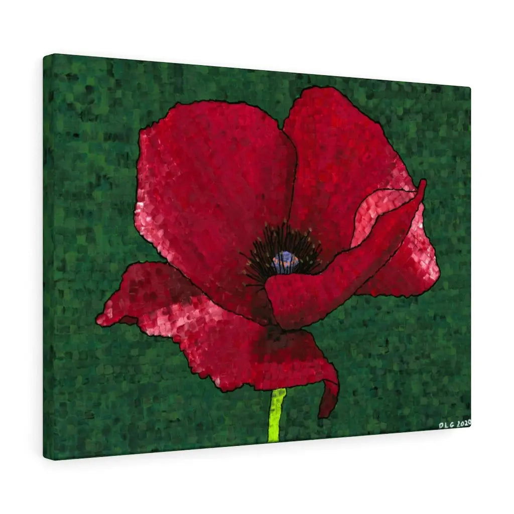 Poppy Flower 1 - Poppy Flower 1 - Dorrin Gingerich Art - Poppy 1 Dorrin Gingerich Art