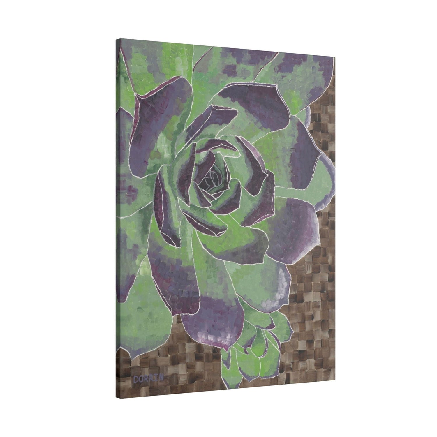 Succulent - Succulent - Dorrin Gingerich Art - 