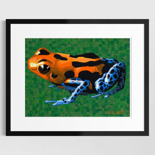 Poison Dart Frog | Art Print