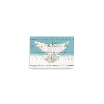 White dove with olive branch on barbed wire against a blue sky