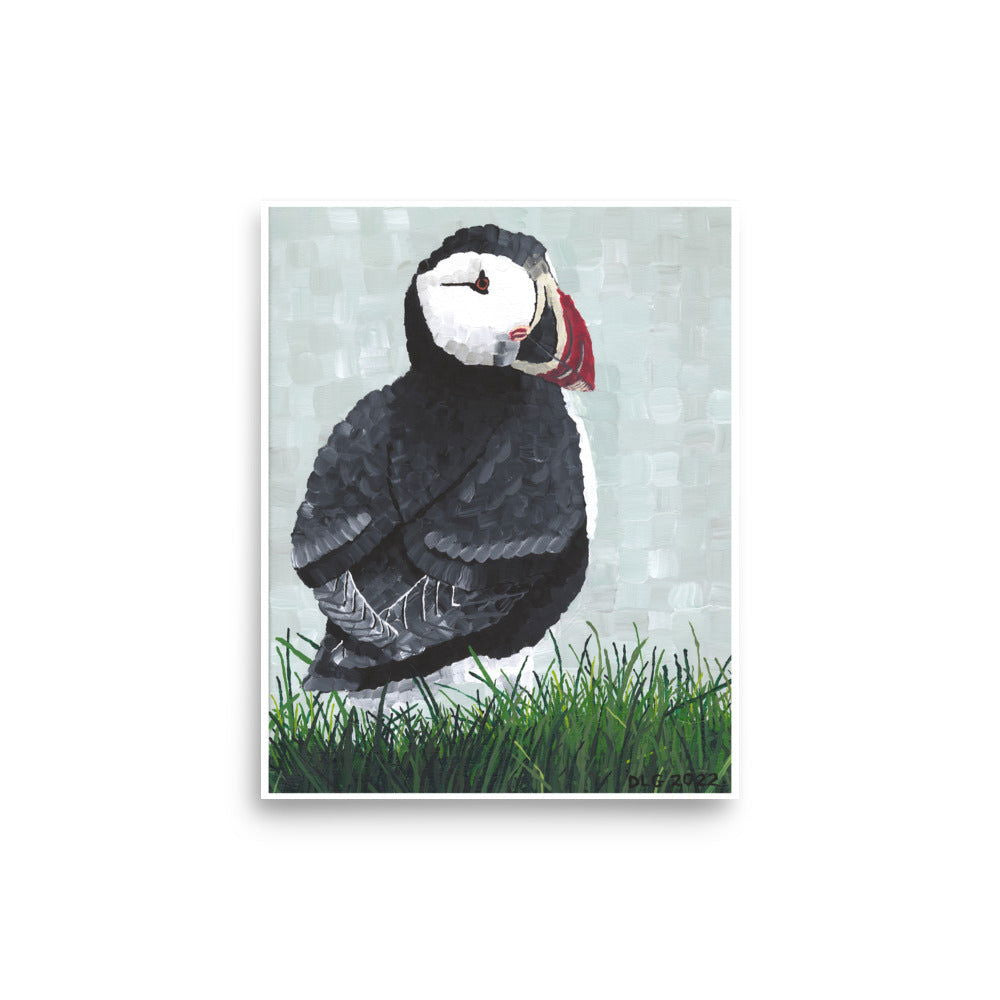 Puffin Art Print - Dorrin Gingerich Art