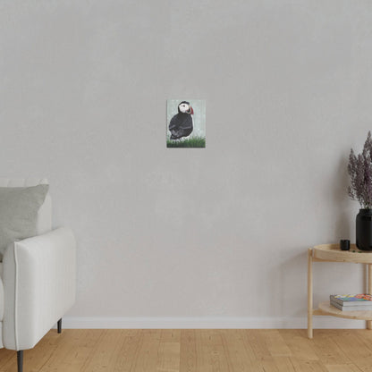 Puffin | Canvas Art Prints - Puffin | Canvas Art Prints - Dorrin Gingerich Art - Puffin | Canvas Art Prints Dorrin Gingerich Art