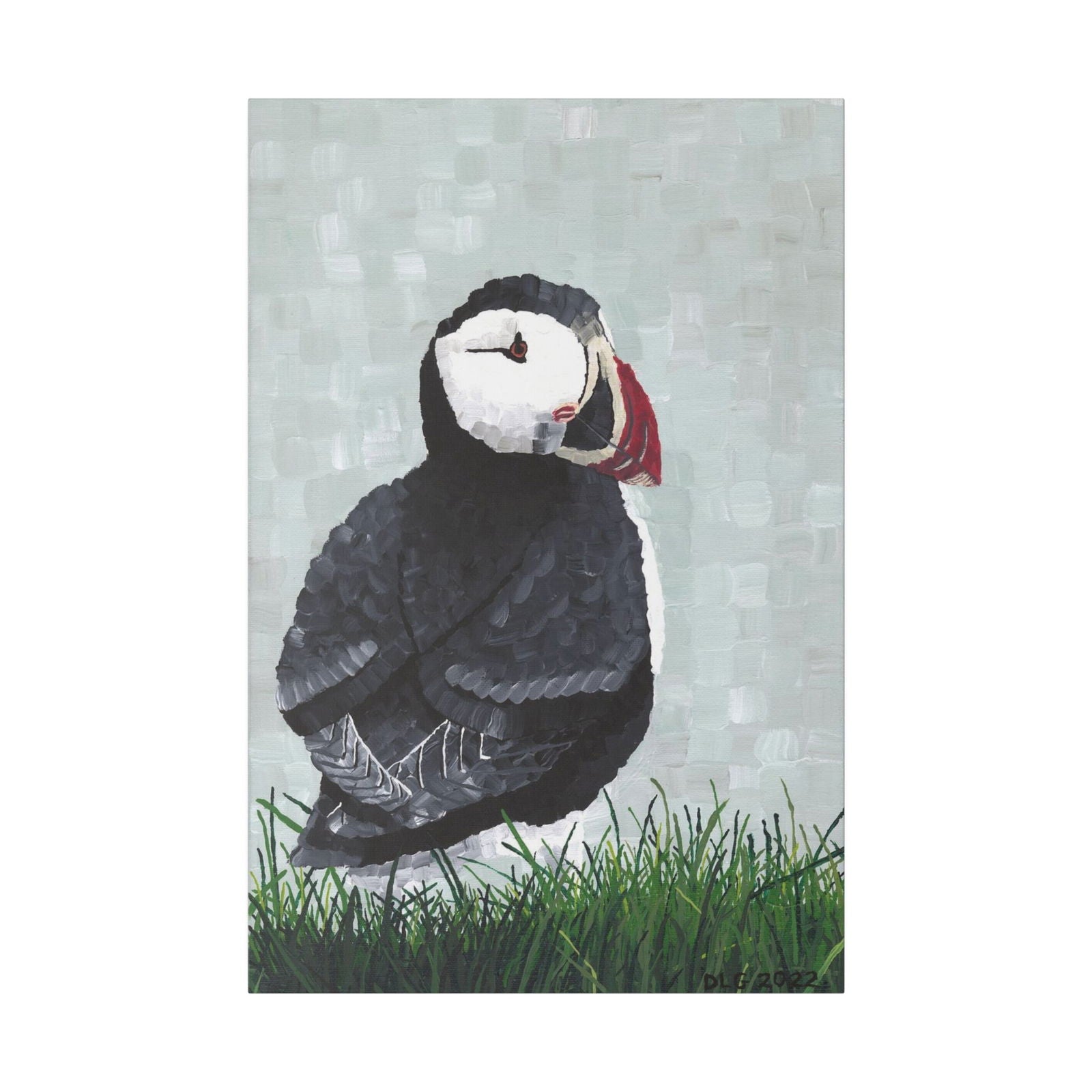 Puffin | Canvas Art Prints - Puffin | Canvas Art Prints - Dorrin Gingerich Art - Puffin | Canvas Art Prints Dorrin Gingerich Art
