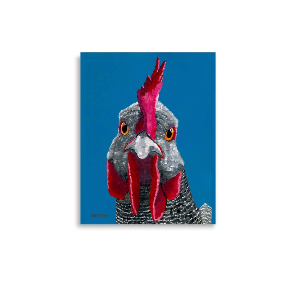 Dorrin Gingerich fine art print, close-up rooster face with dramatic red comb on bright blue, 11x14