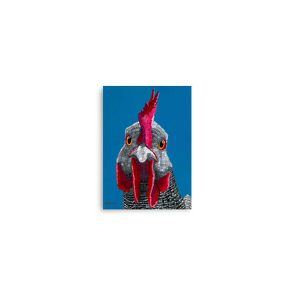 Dorrin Gingerich rooster fine art print, intense orange eyes and red comb against cobalt blue background, 5x7