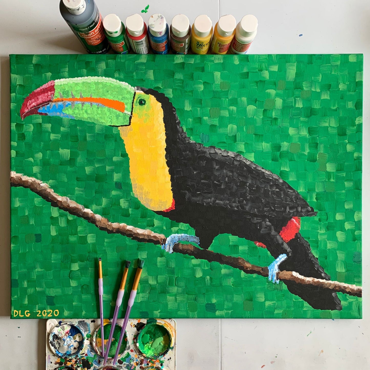 Tucan 1 | 18x24 | ORIGINAL - Tucan 1 | 18x24 | ORIGINAL - Dorrin Gingerich Art - Tucan 1 | 18x24 | Acrylic Paint on Canvas Dorrin Gingerich Art