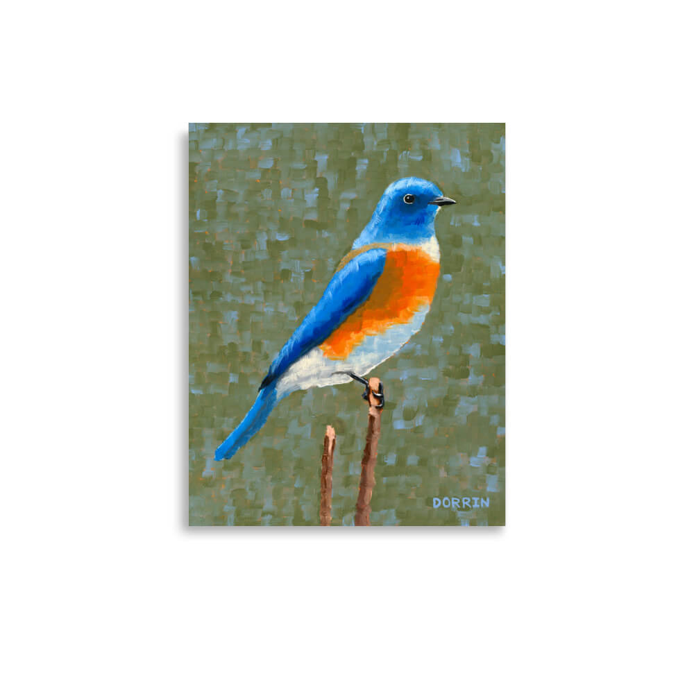 Eastern bluebird art print 11x14, Criss-Cross brushstroke wildlife painting by Dorrin Gingerich