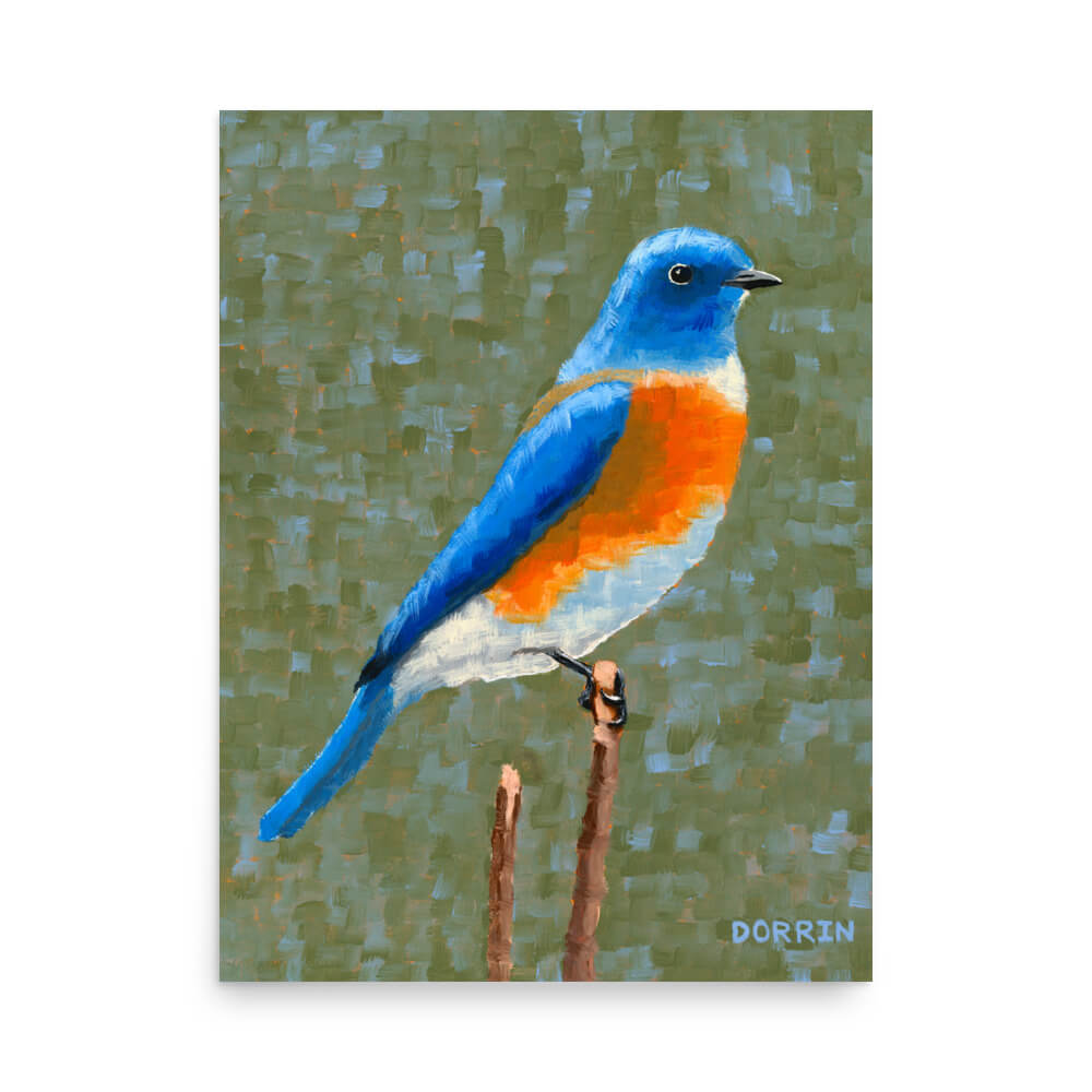 Eastern bluebird art print 18x24, vivid blue and orange bird on branch, wildlife painting