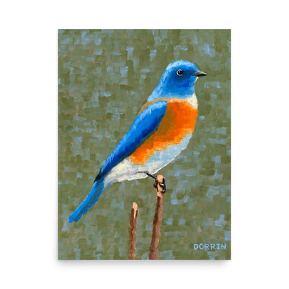 Eastern bluebird art print 18x24, vivid blue and orange bird on branch, wildlife painting