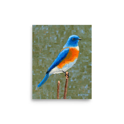 Eastern bluebird wildlife art print 8x10, blue and orange songbird painting on sage green background