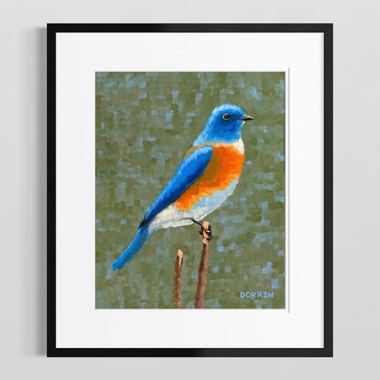 Eastern bluebird art print in black frame with white mat, songbird wildlife wall art