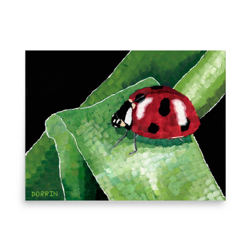 Ladybug on grass large art print 18x24, bold insect painting by Dorrin Gingerich