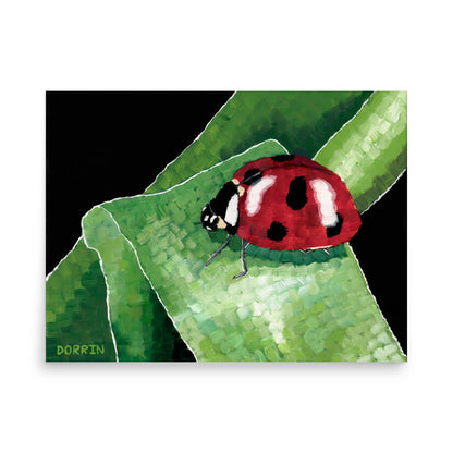 Ladybug on grass large art print 18x24, bold insect painting by Dorrin Gingerich