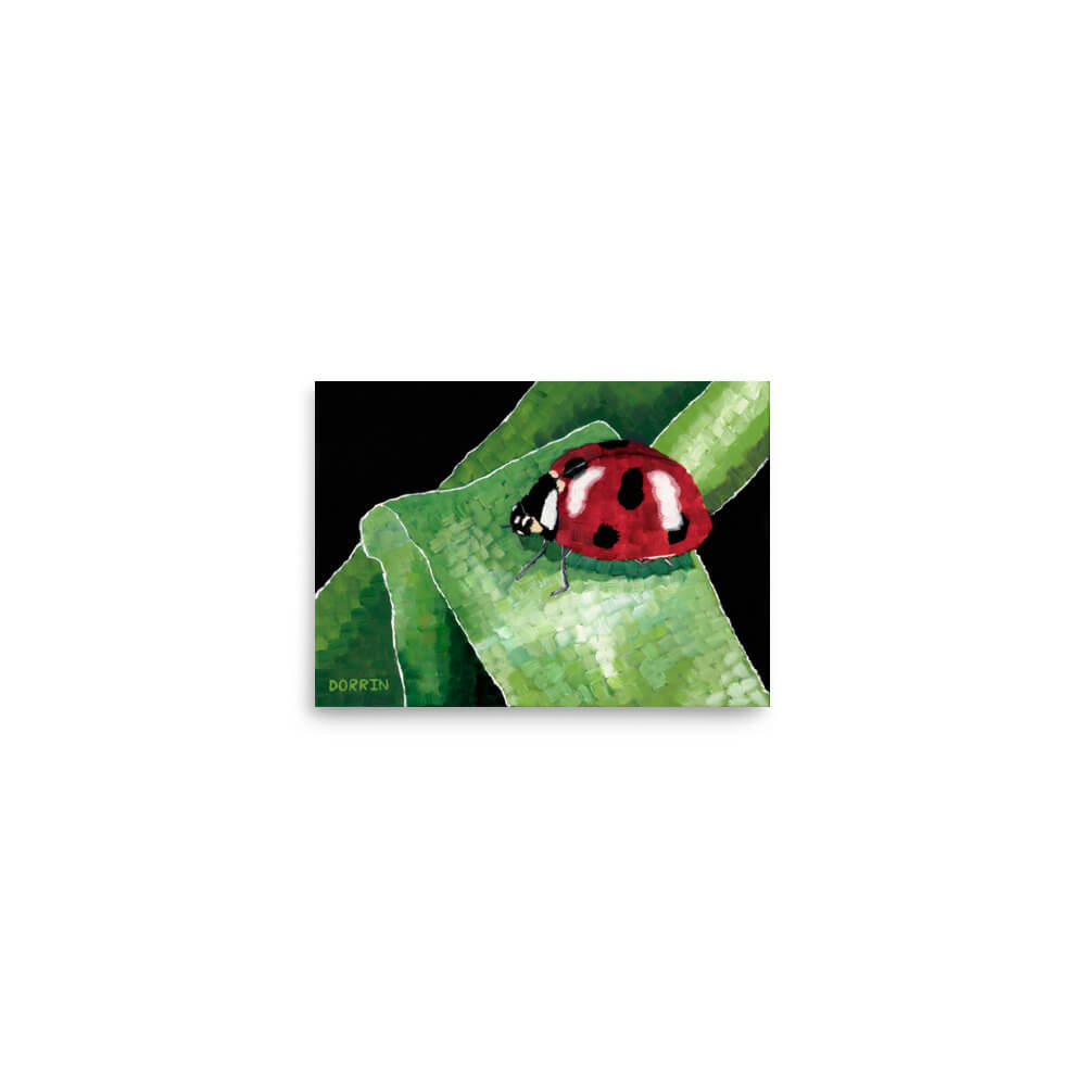 Ladybug on grass fine art print 5x7, red ladybug on green leaf painting by Dorrin Gingerich