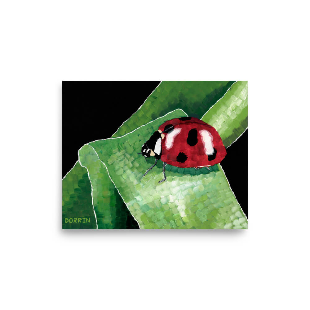 Ladybug insect art print 8x10, Criss-Cross brushstroke painting on black background