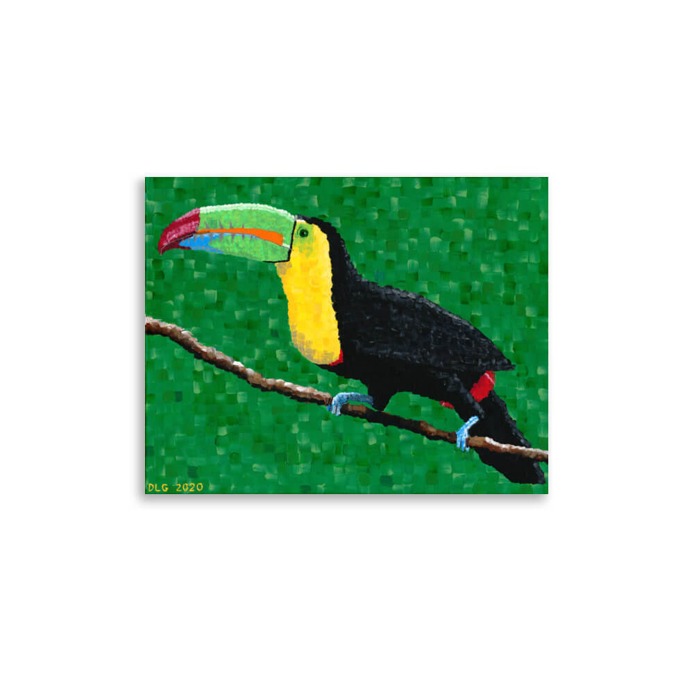 Toucan art print on matte paper, 11x14 size, shown on white background