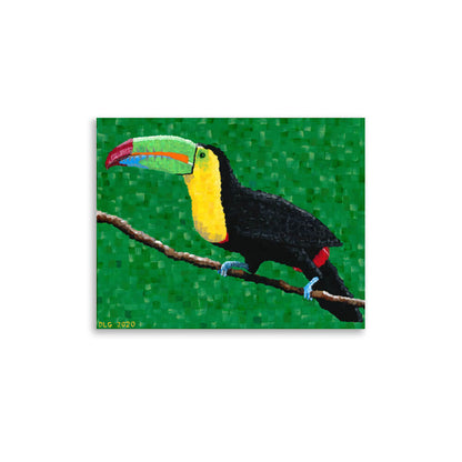 Toucan art print on matte paper, 11x14 size, shown on white background