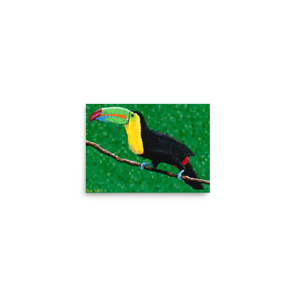 Small toucan art print on matte paper, 5x7 size, shown on white background