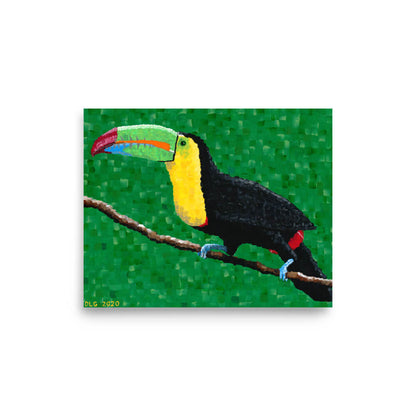 Toucan art print on matte paper, 8x10 size, shown on white background