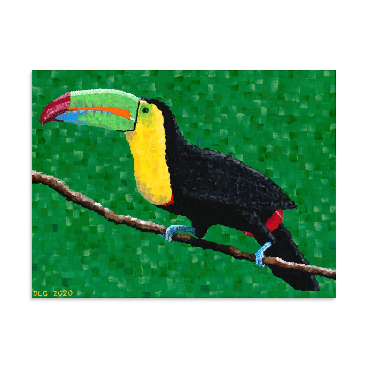 Tropical toucan wall art print of a bird on a branch, 30x40 size