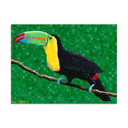 Tropical toucan wall art print of a bird on a branch, 30x40 size