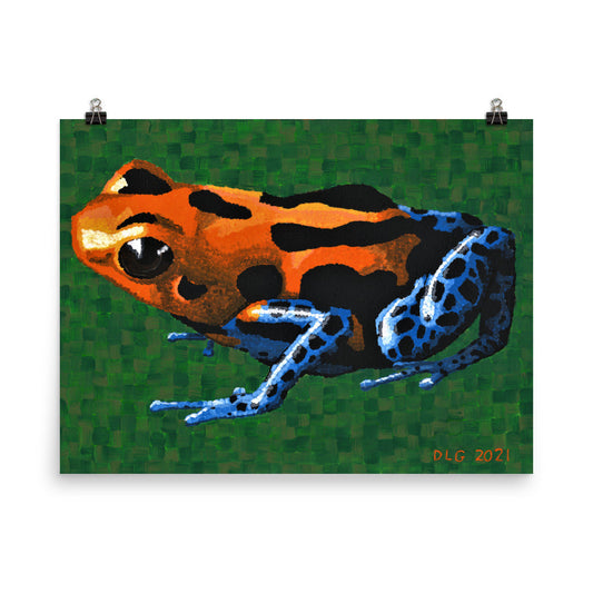 Dart Frog 1 Matte Print Dorrin Gingerich Art